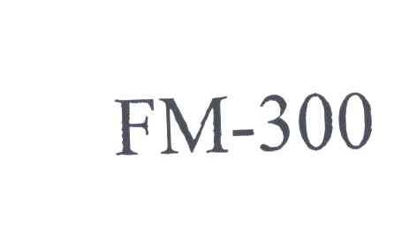 FM;300