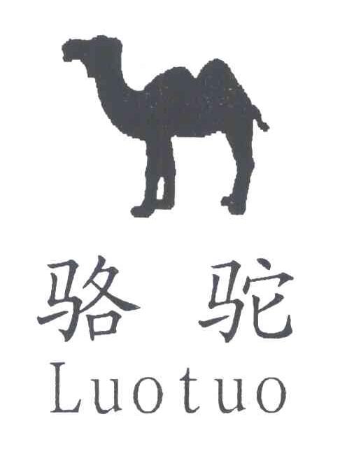 骆驼