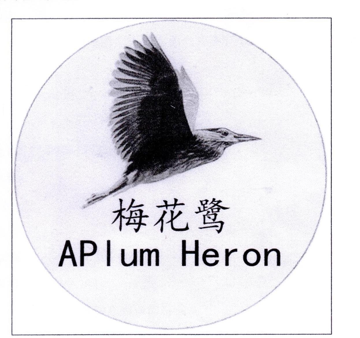 梅花鹭 APLUM HERON