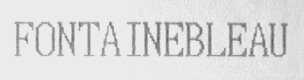 FONTAINEBLEAU