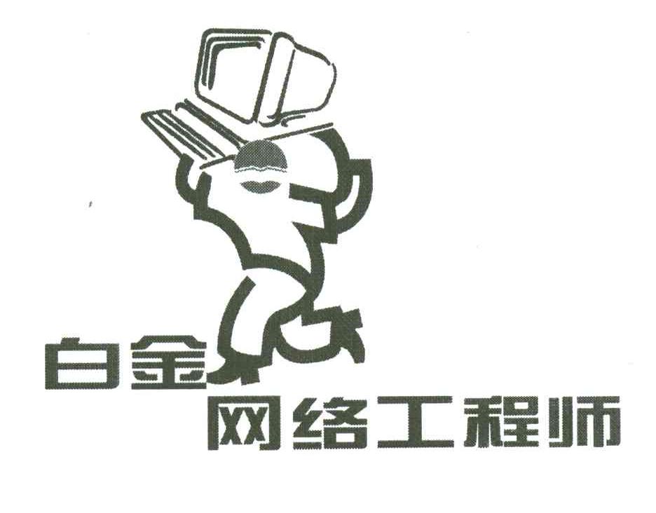 白金网络工程师