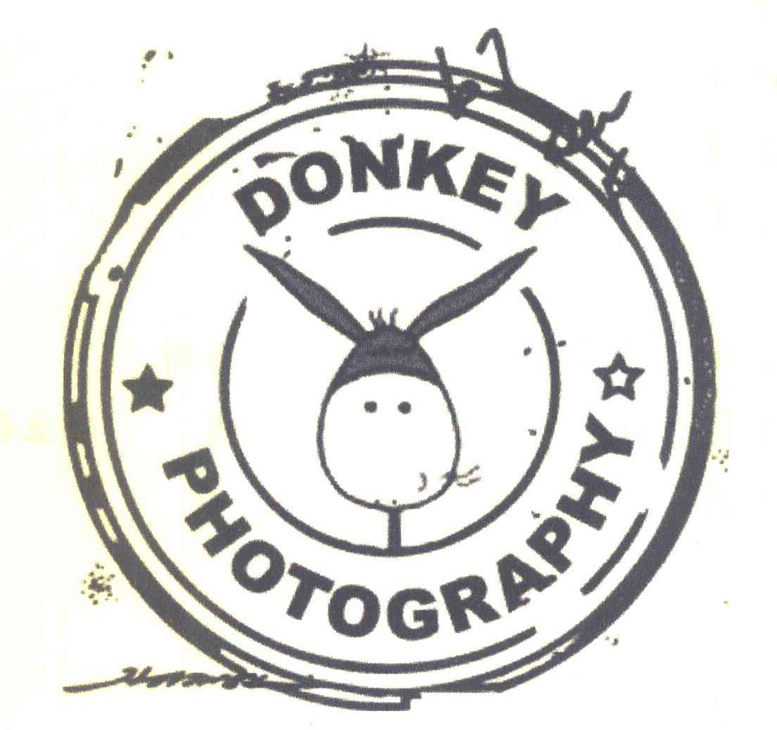 DONKEY PHOTOGRAPHY