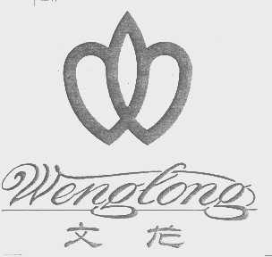 文龙