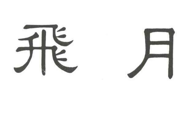 飞月