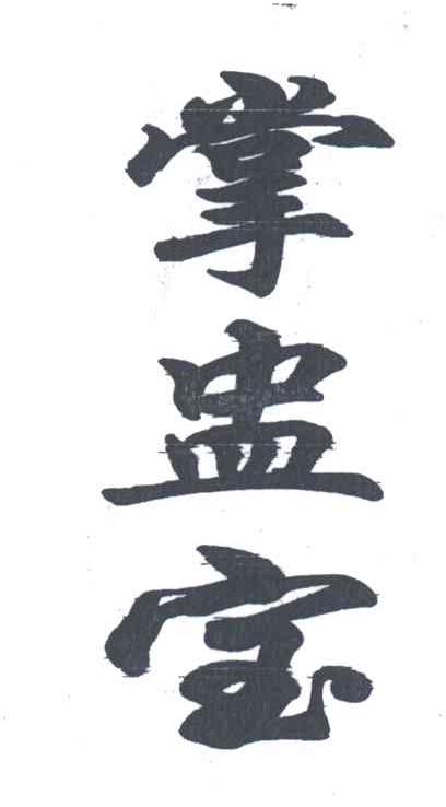 掌盅宝