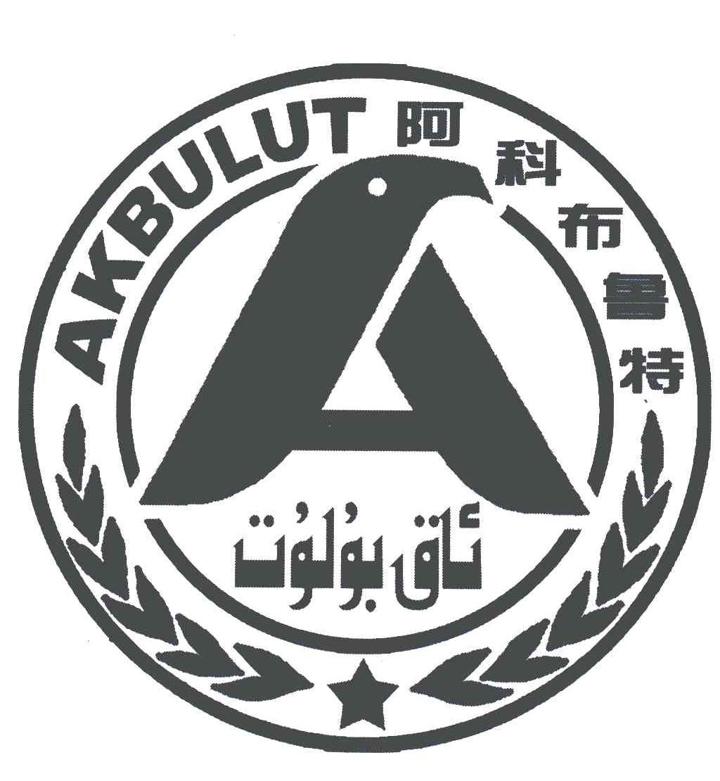 阿科布鲁特;AKBULUT;A