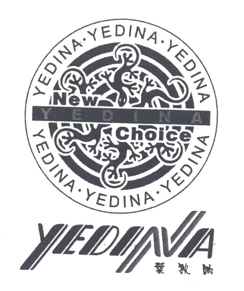 叶狄纳;NEW CHOICE