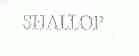 SHALLOP