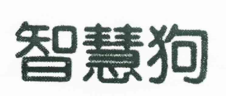 智慧狗