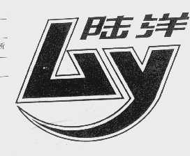 陆洋
