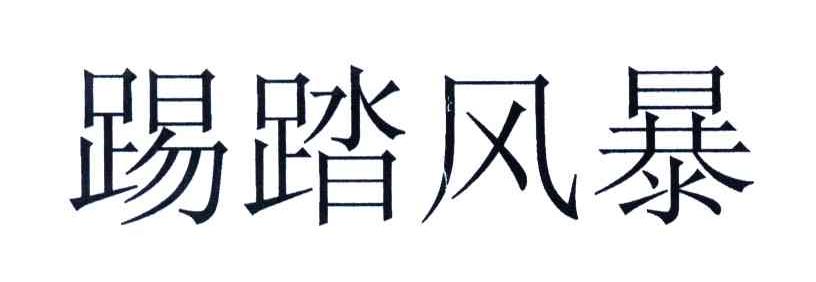 踢踏风暴