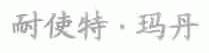 耐使特.玛丹