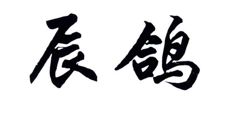 辰鸽