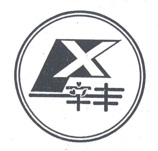 辛丰;X