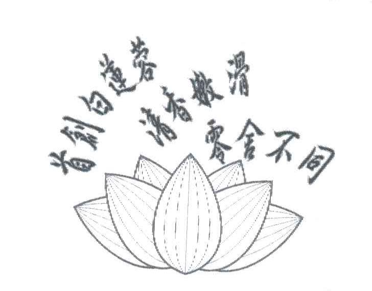 首创白莲蓉清香滑嫩零舍不同