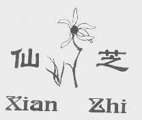 仙芝