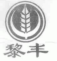 黎丰