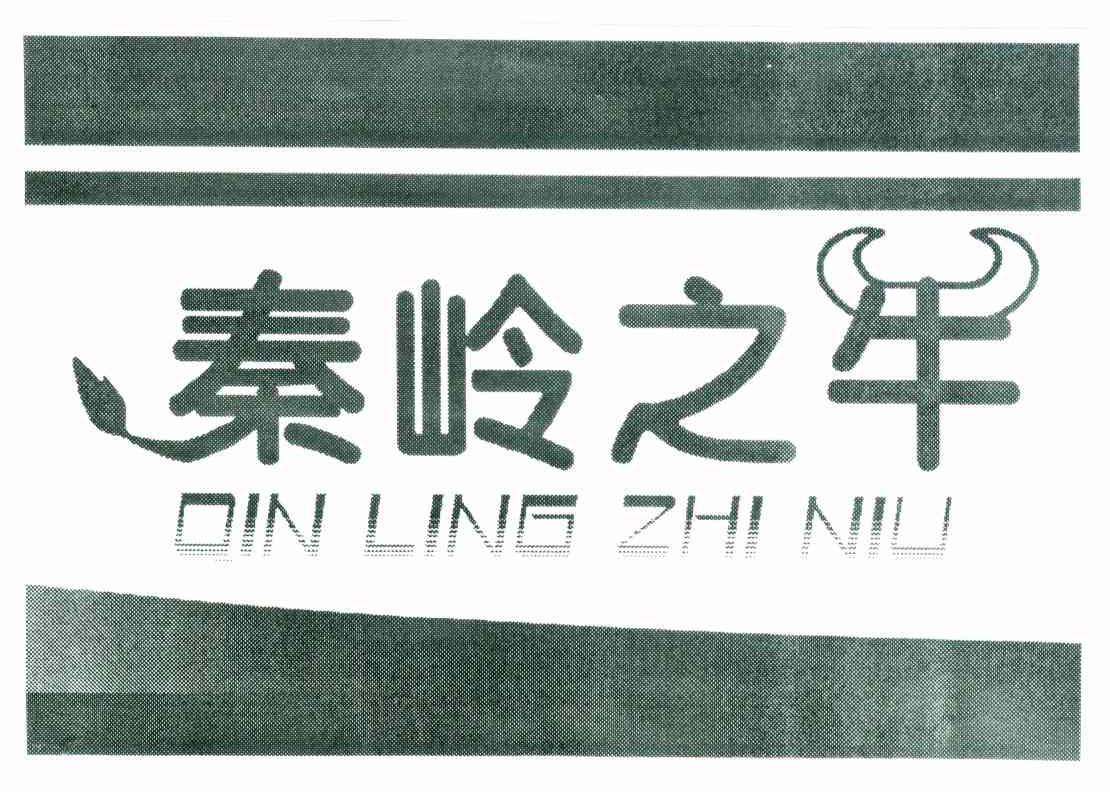 秦岭之牛