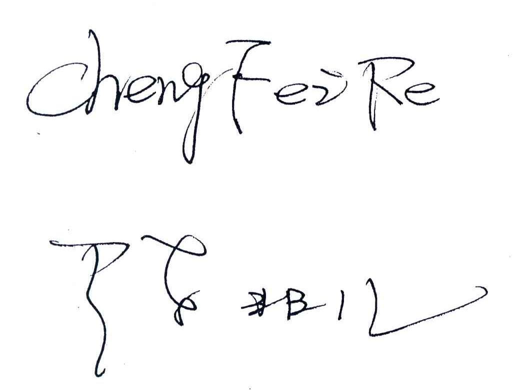 陈非儿;CHENGFEIRE