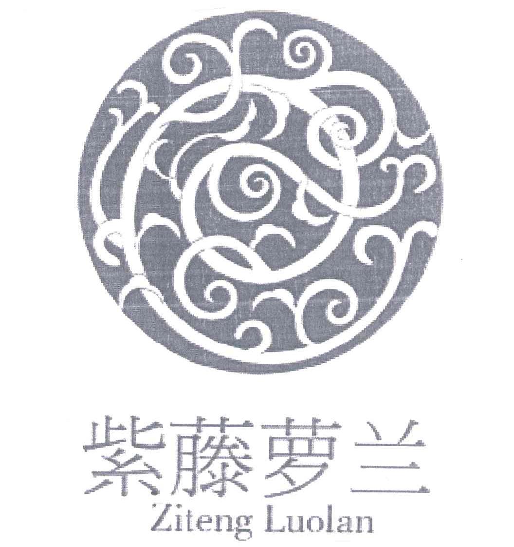 紫藤萝兰