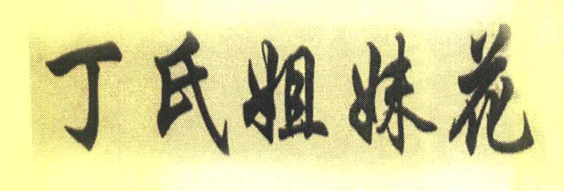 丁氏姐妹花