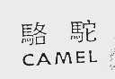骆驼  CAMEL