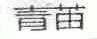 青苗