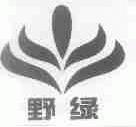 野绿