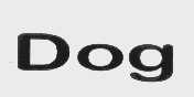 DOG