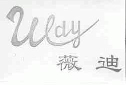 薇迪;WEDY