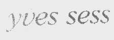 YUES SESS