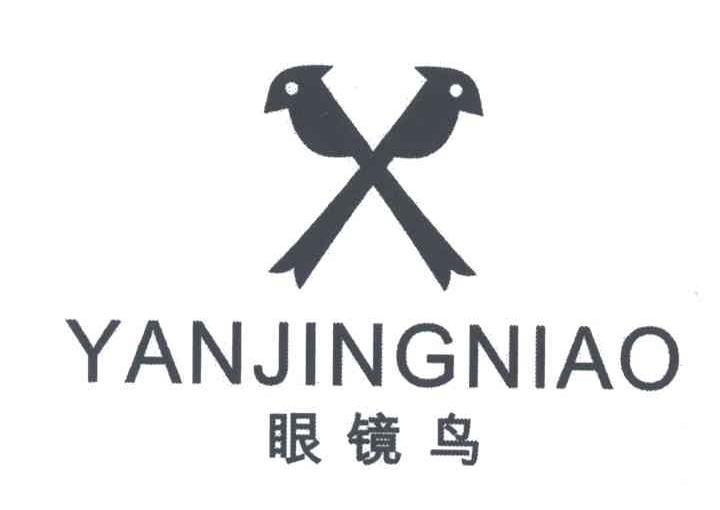 眼镜鸟