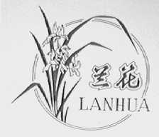 兰花