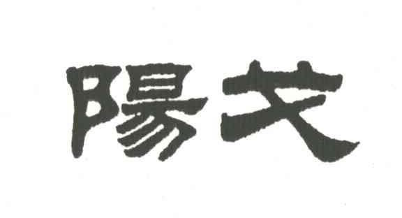 阳戈