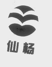 仙杨