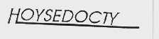 HOYSEDOCTY
