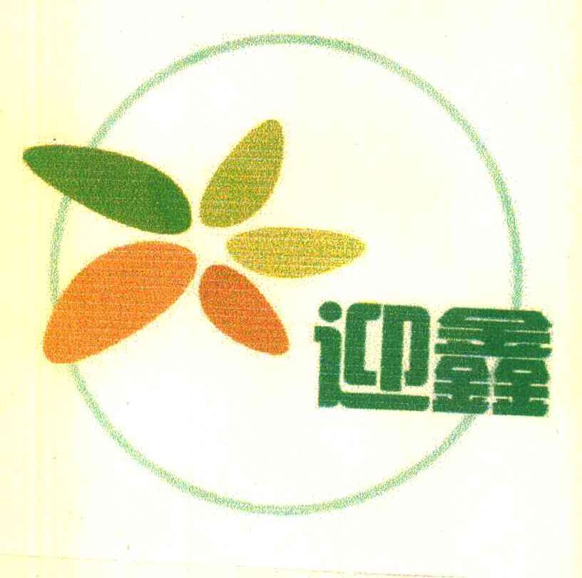 迎鑫
