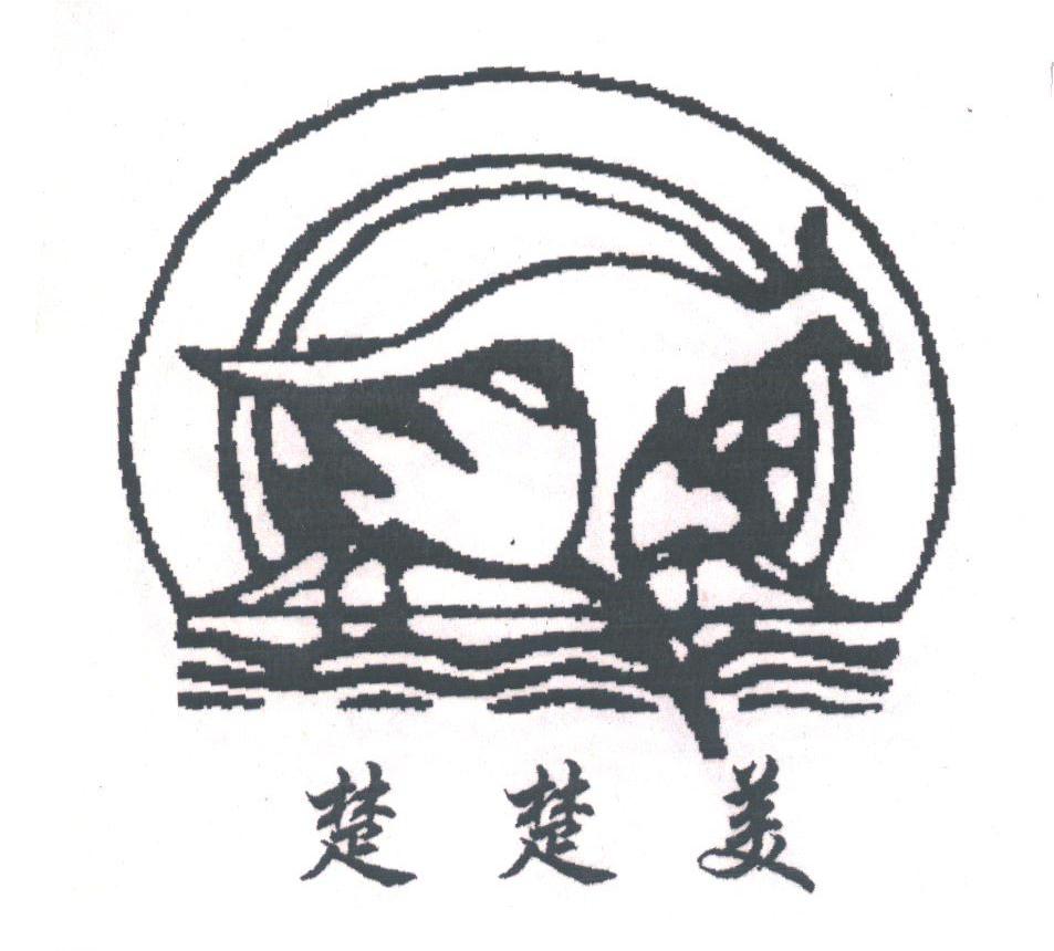 楚楚美