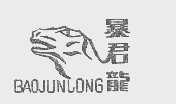 暴君龙