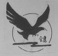 金鹰
