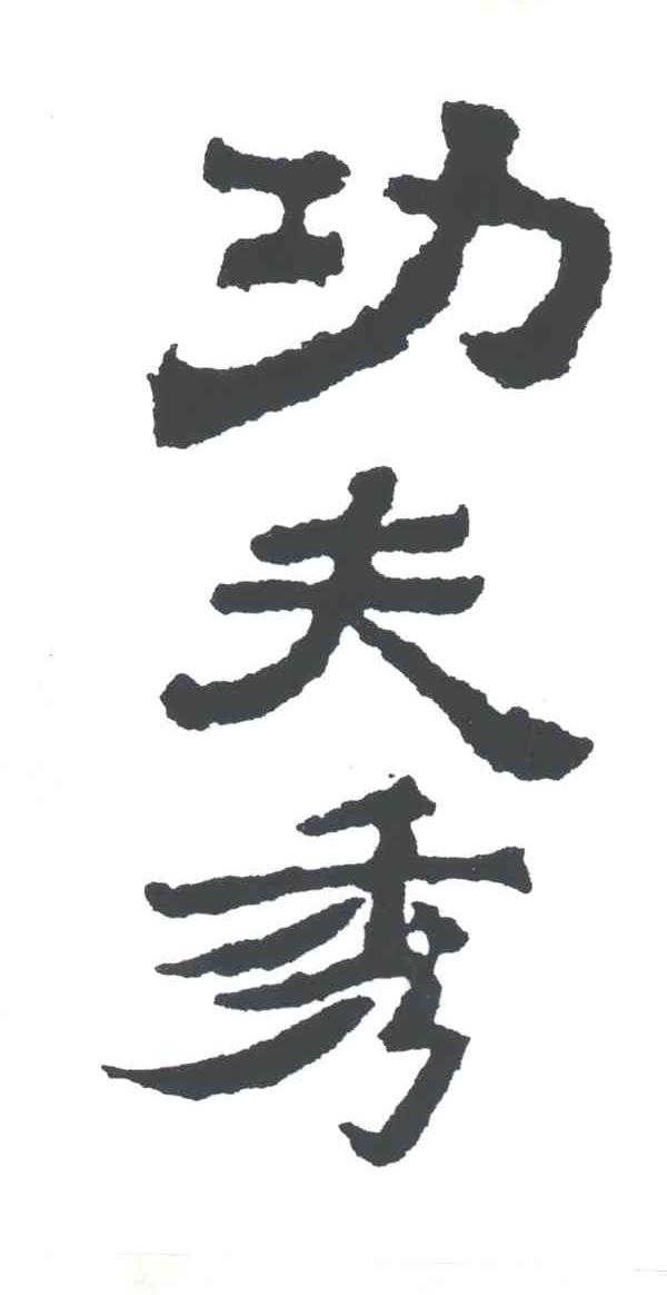 功夫秀