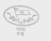 玫瑰   ROSE