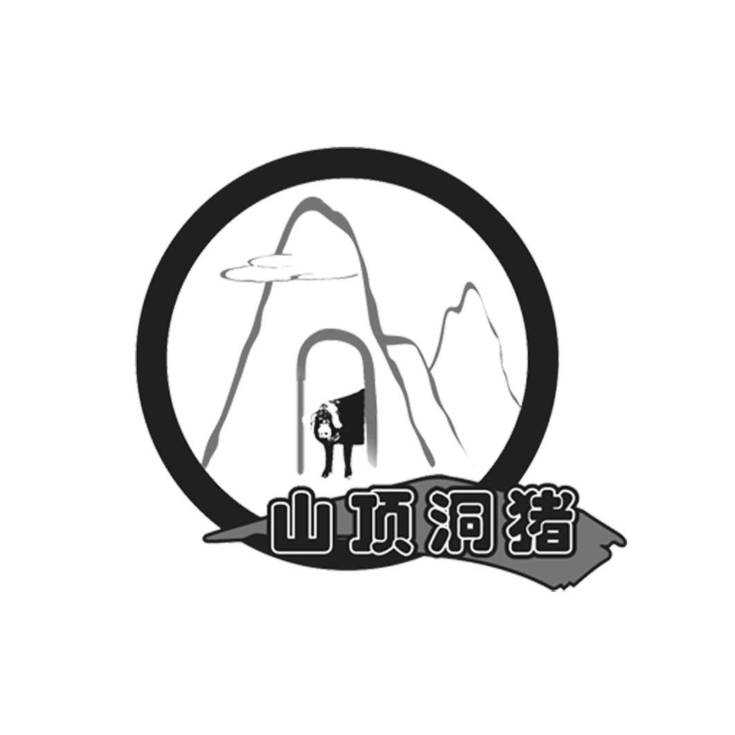 山顶洞猪