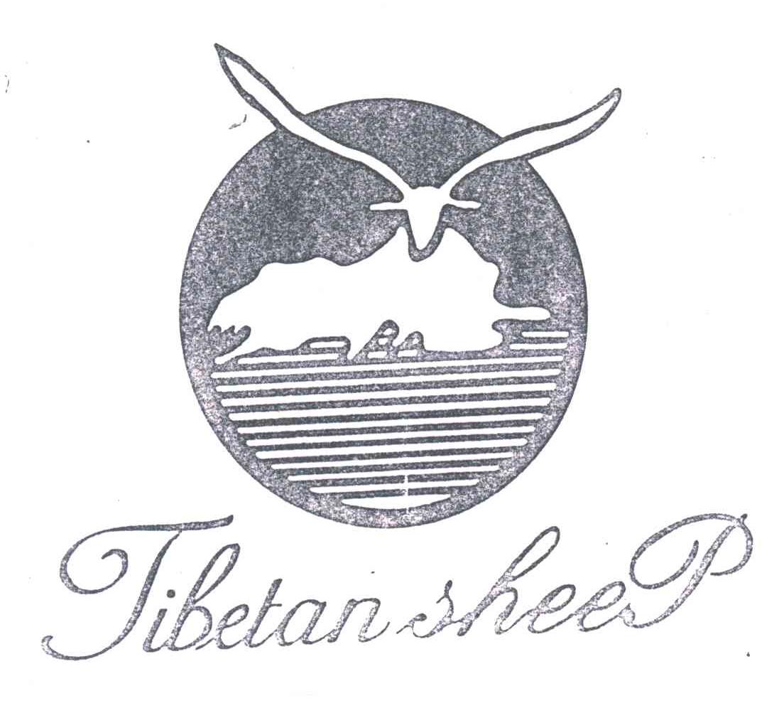 TIBETAN SHEEP