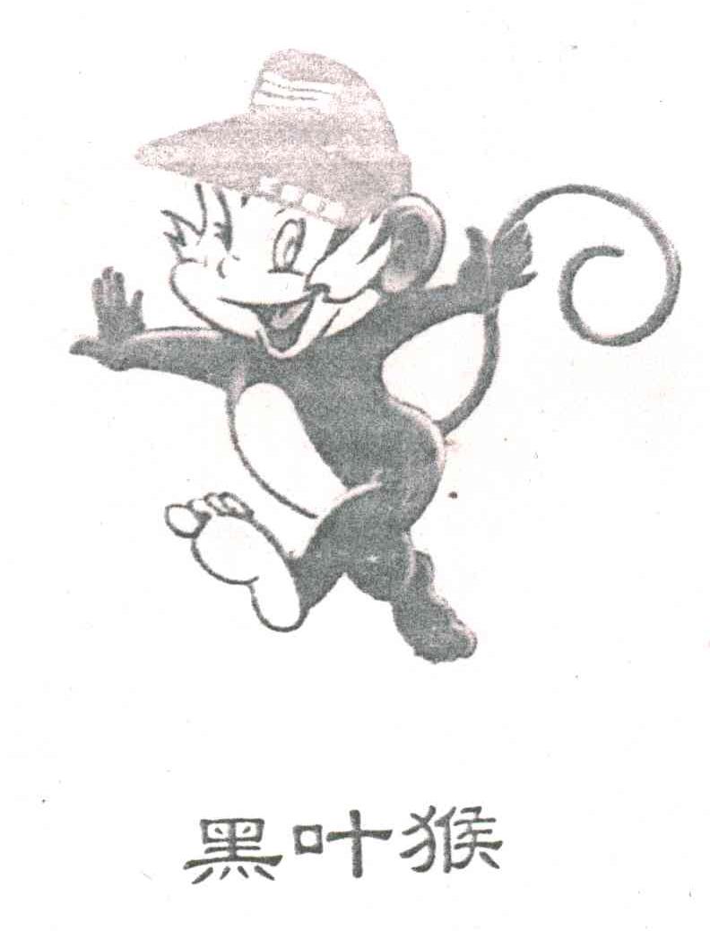 黑叶猴