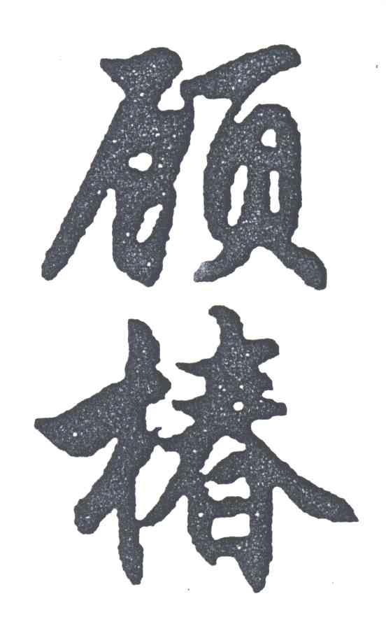 顾椿