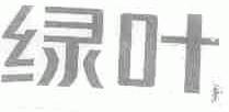 绿叶