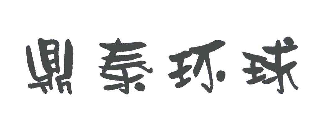 鼎泰环球