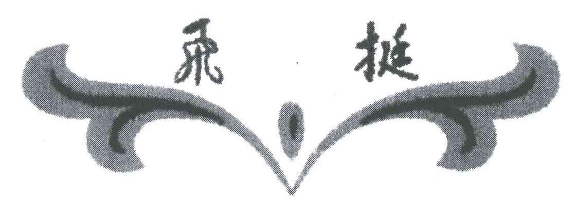 飞挺