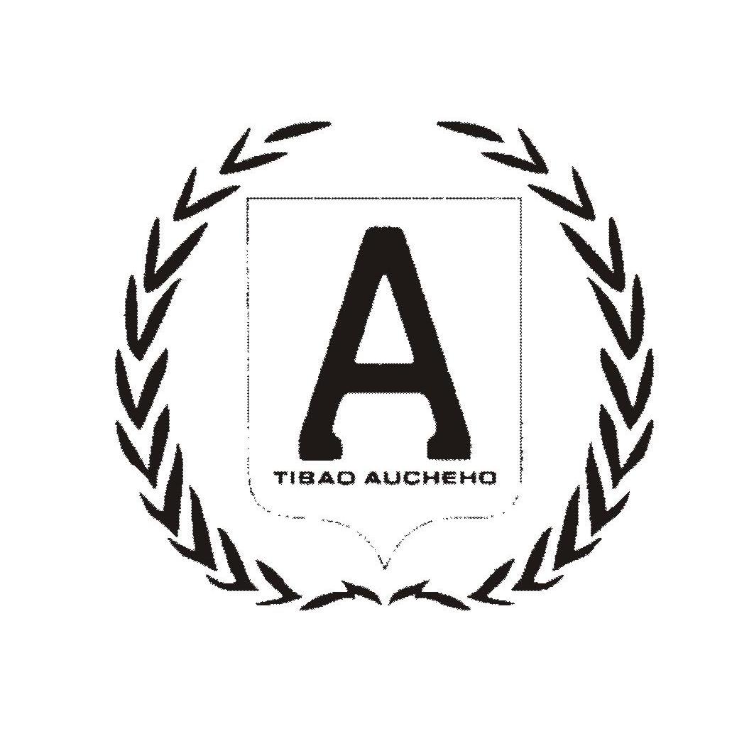 TIBAO AUCHEHO A